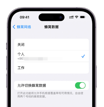 高港苹果维修服务分享如何在iPhone上使用双卡 